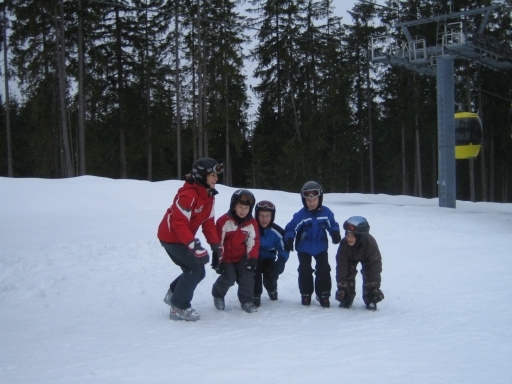Ski- und Snowboardkurse 2008 / Gruppen